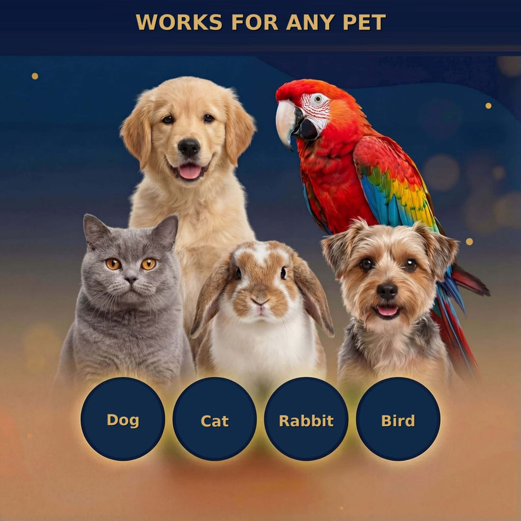 Pet Personalized Holographic Keepsake