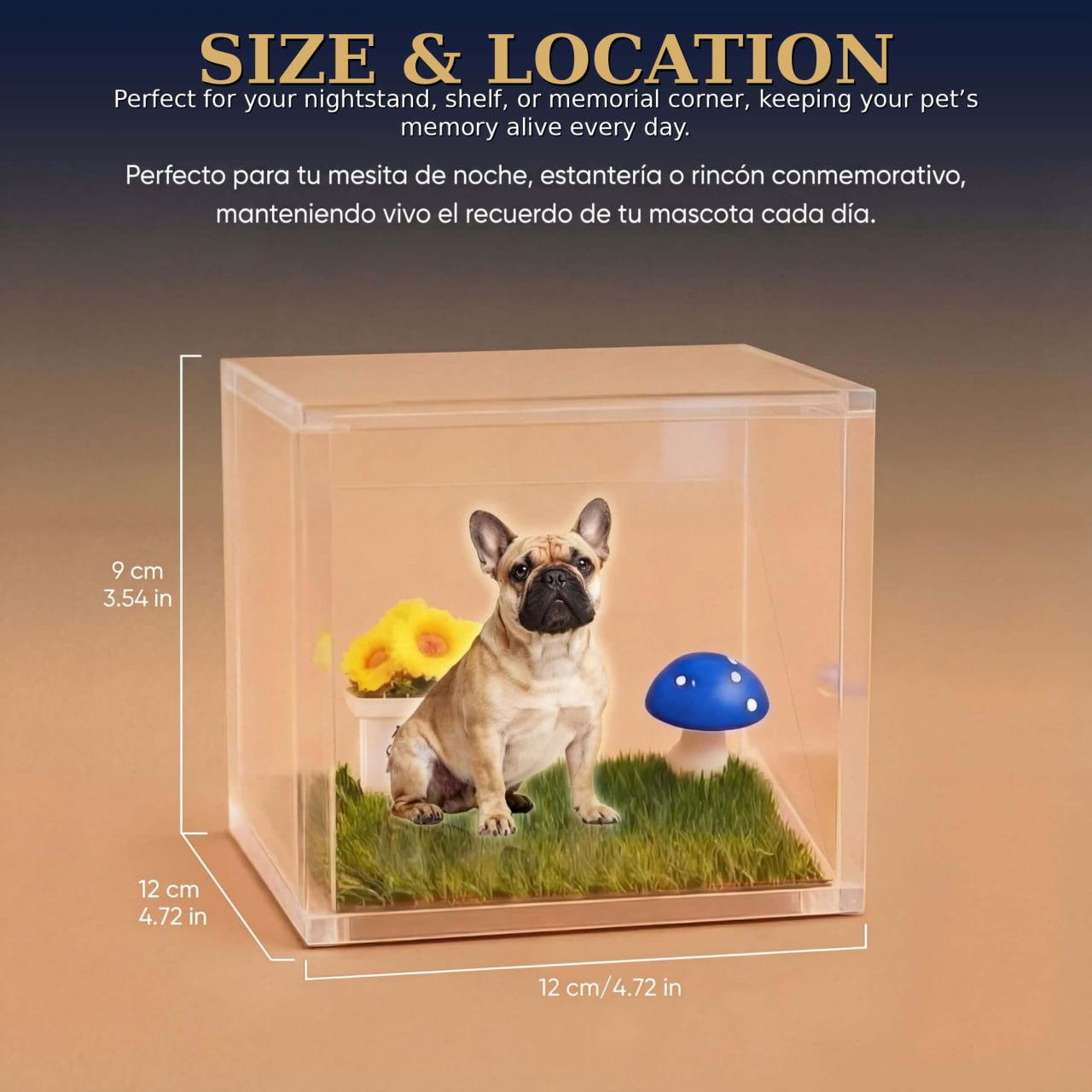 Pet Personalized Holographic Keepsake